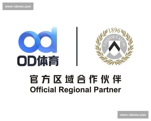全面解析OD体育官网登录入口使用指南与功能亮点介绍